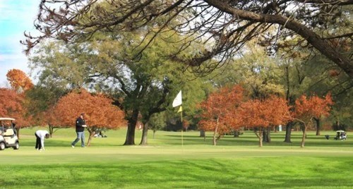 golfers putting on the green