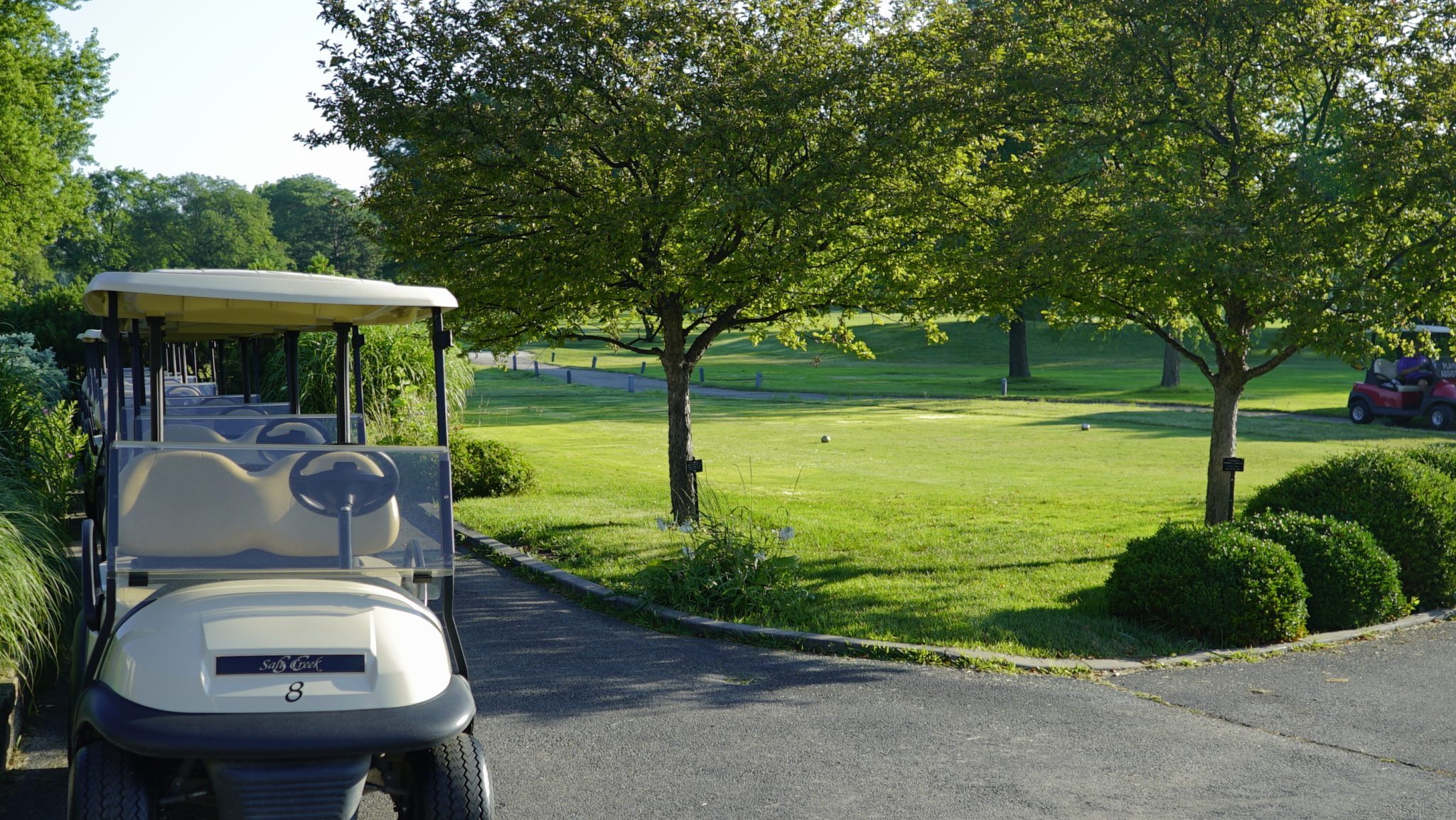 Golf Course with Cart